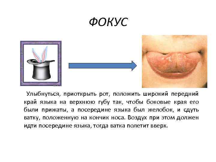 ФОКУС Улыбнуться, приоткрыть рот, положить широкий передний край языка на верхнюю губу так, чтобы