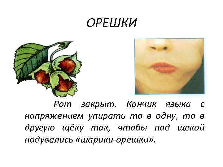 ОРЕШКИ Рот закрыт. Кончик языка с напряжением упирать то в одну, то в другую