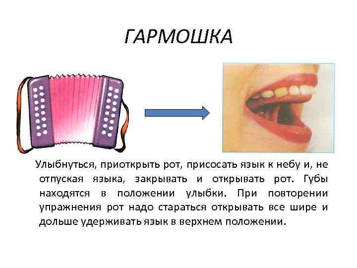 ГАРМОШКА Улыбнуться, приоткрыть рот, присосать язык к небу и, не отпуская языка, закрывать и