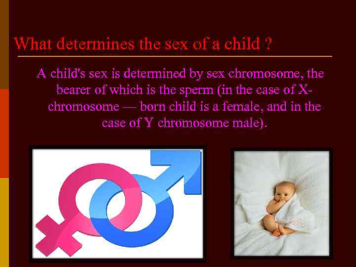 What determines the sex of a child ? A child's sex is determined by