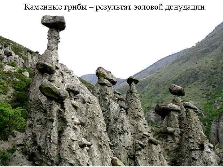 Каменные грибы – результат эоловой денудации 