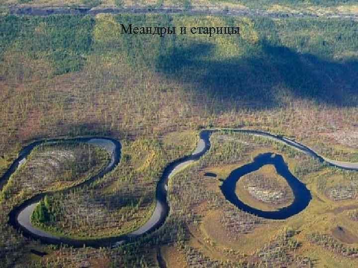 Что такое старица реки. Меандры реки. Меандр русло реки. Меандры и старицы. Боковая Речная эрозия.