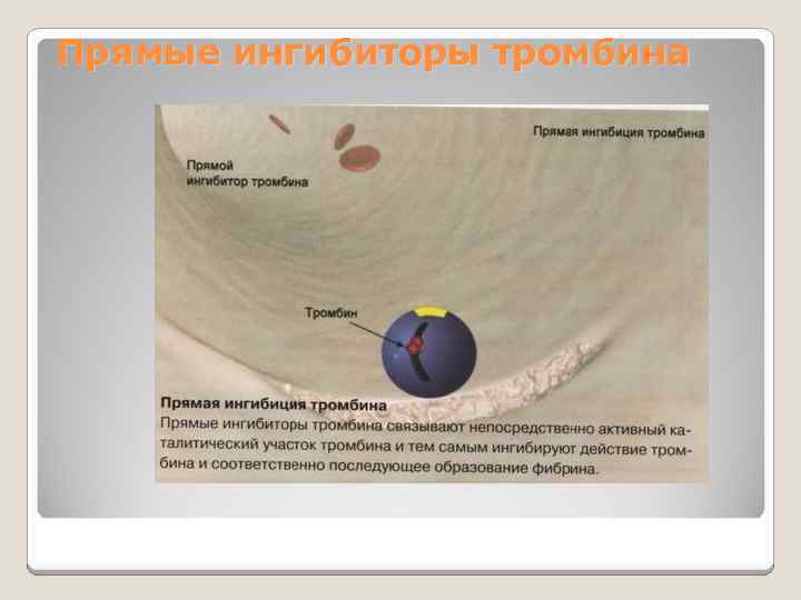 Прямые ингибиторы тромбина 