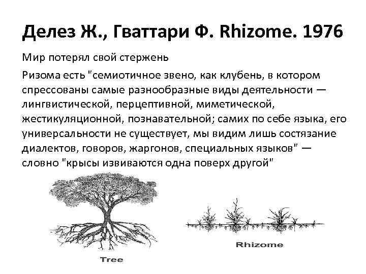 Делез Ж. , Гваттари Ф. Rhizome. 1976 Мир потерял свой стержень Ризома есть 