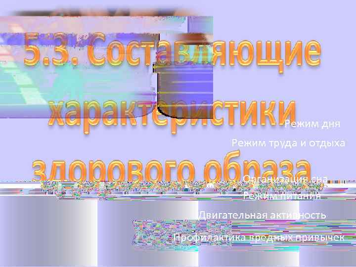 Режим дня Режим труда и отдыха Организация сна Режим питания Двигательная активность Профилактика вредных