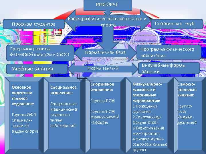 План работы кафедры