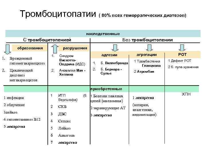 Тромборезистентность сосудистой стенки обусловлена