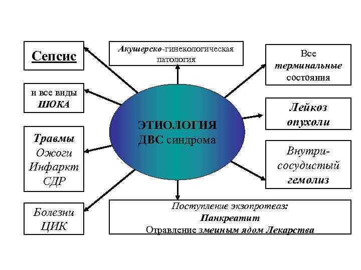 Сепсис Акушерско-гинекологическая патология и все виды ШОКА Травмы Ожоги Инфаркт СДР Болезни ЦИК ЭТИОЛОГИЯ