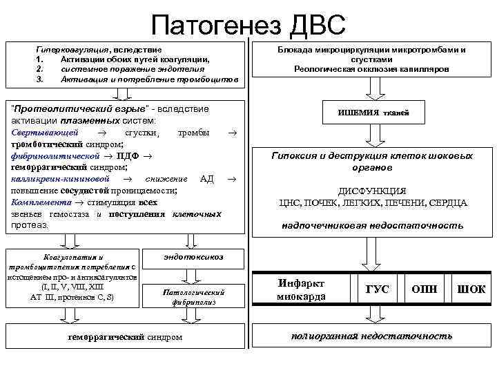 Патогенез ДВС Гиперкоагуляция, вследствие 1. Активации обоих путей коагуляции, 2. системное поражение эндотелия 3.