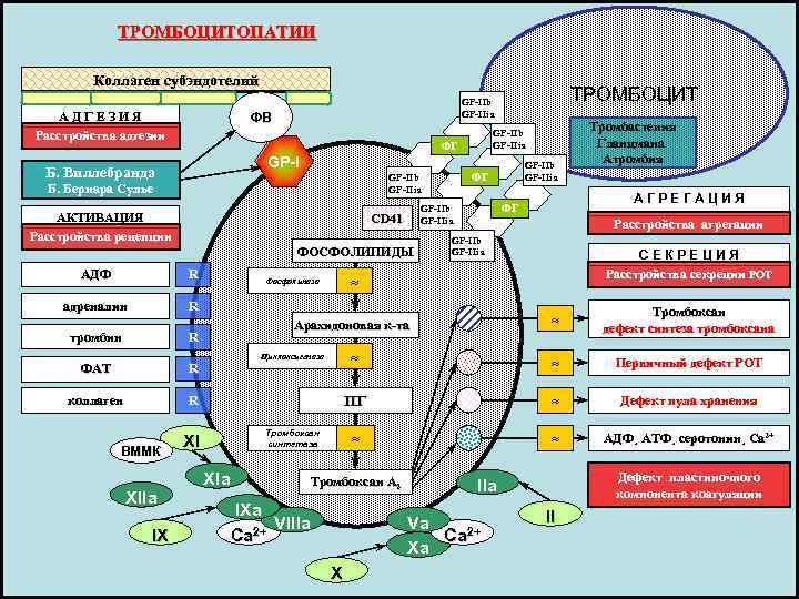 ТРОМБОЦИТОПАТИИ Коллаген субэндотелий А Д Г Е З И Я Расстройства адгезии ФВ GP-IIb