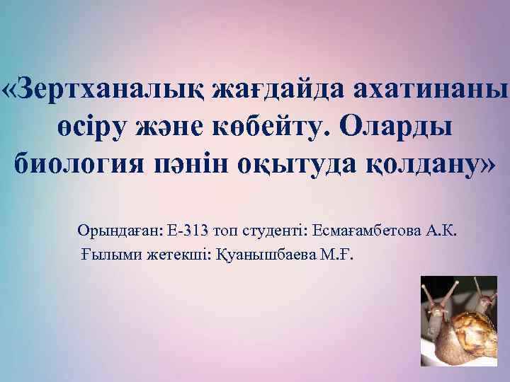  «Зертханалық жағдайда ахатинаны өсіру және көбейту. Оларды биология пәнін оқытуда қолдану» Орындаған: Е-313