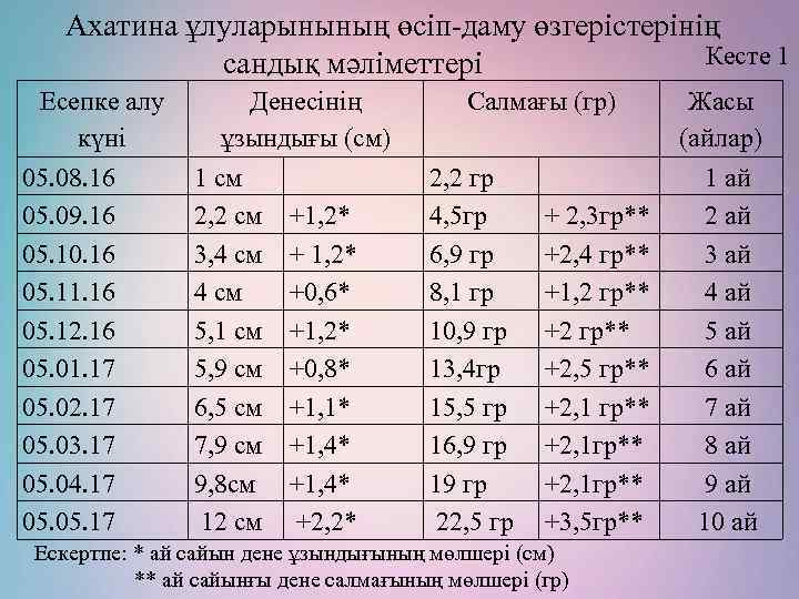 Ахатина ұлуларынының өсіп-даму өзгерістерінің Кесте 1 сандық мәліметтері Есепке алу күні 05. 08. 16