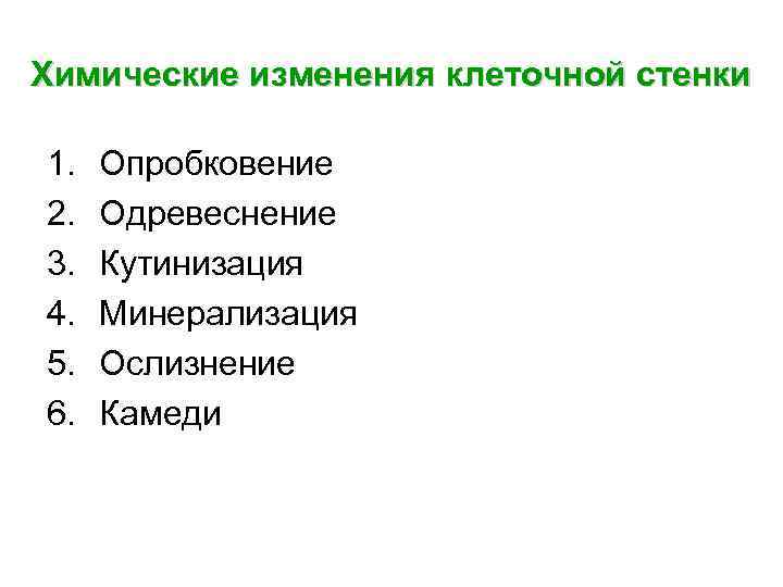 Химические изменения клеточной стенки 1. 2. 3. 4. 5. 6. Опробковение Одревеснение Кутинизация Минерализация