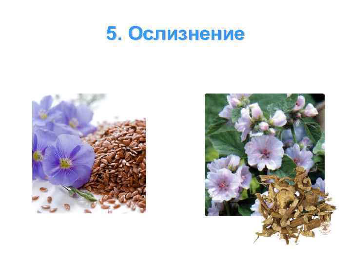 5. Ослизнение 