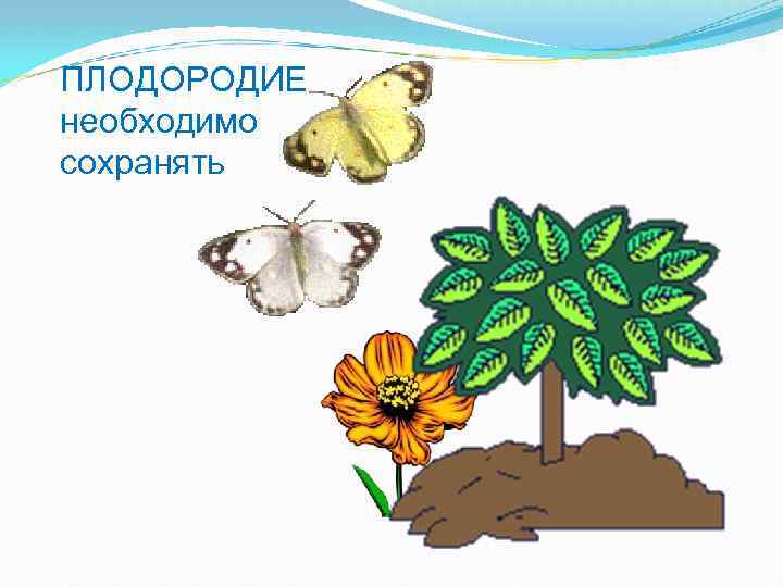 ПЛОДОРОДИЕ необходимо сохранять 