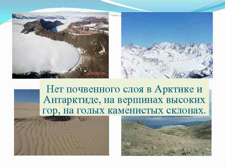Нет почвенного слоя в Арктике и Антарктиде, на вершинах высоких гор, на голых каменистых