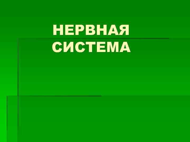 НЕРВНАЯ СИСТЕМА 