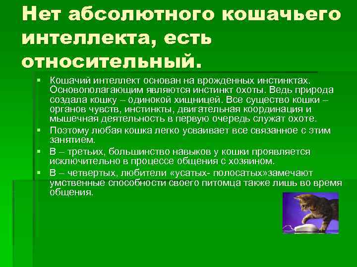 Нет абсолютного кошачьего интеллекта, есть относительный. § Кошачий интеллект основан на врожденных инстинктах. Основополагающим