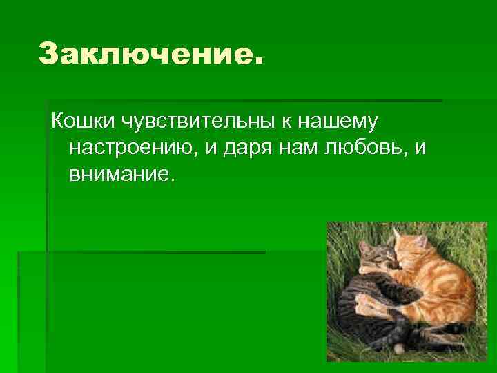 Заключение. Кошки чувствительны к нашему настроению, и даря нам любовь, и внимание. 