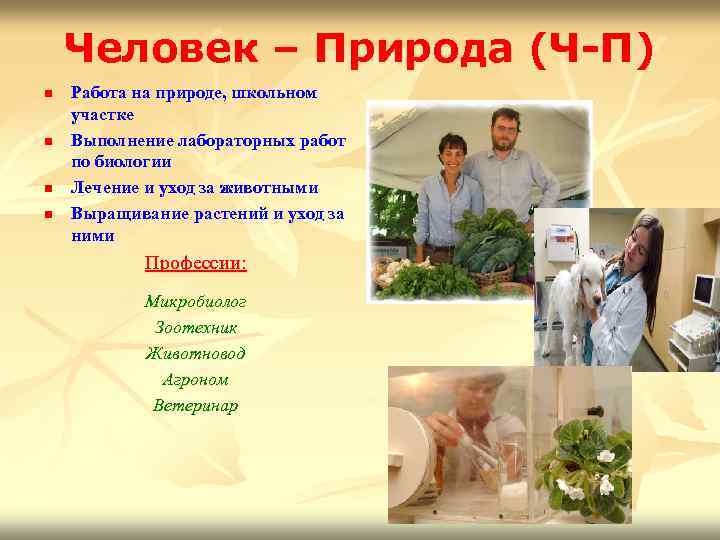 Человек – Природа (Ч-П) n n Работа на природе, школьном участке Выполнение лабораторных работ