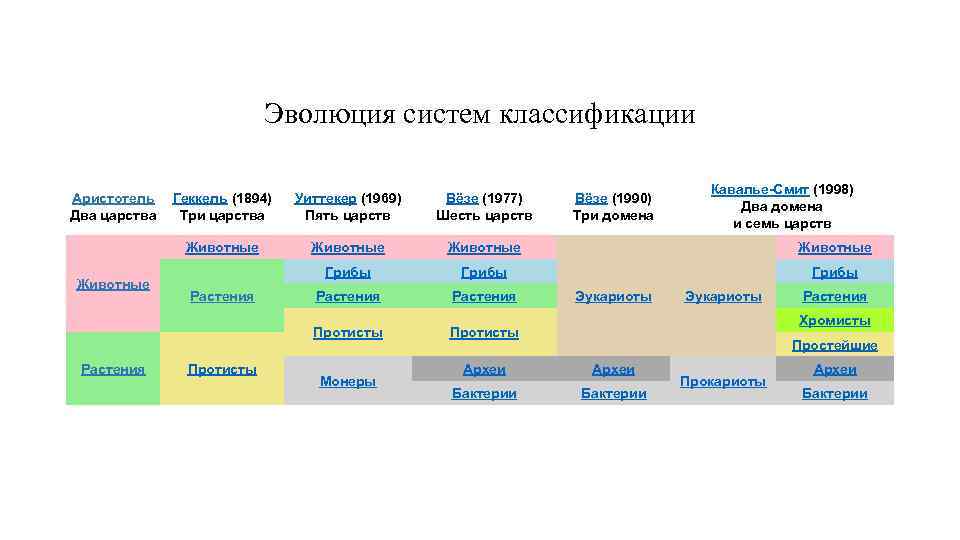 Эволюция систем классификации Аристотель Два царства Вёзе (1977) Шесть царств Животные Грибы Растения Протисты