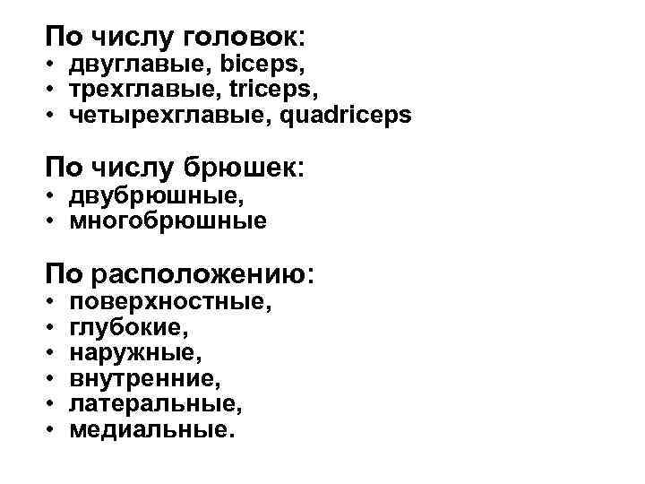 По числу головок: • двуглавые, biceps, • трехглавые, triceps, • четырехглавые, quadriceps По числу