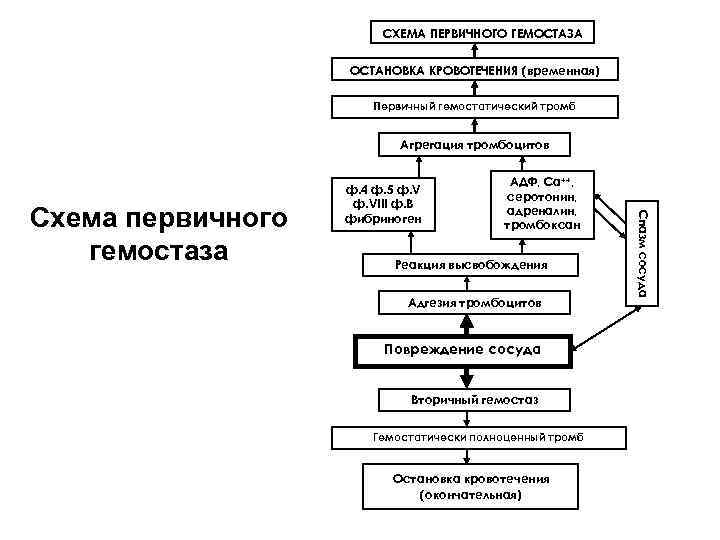 Схема обработки кальмара