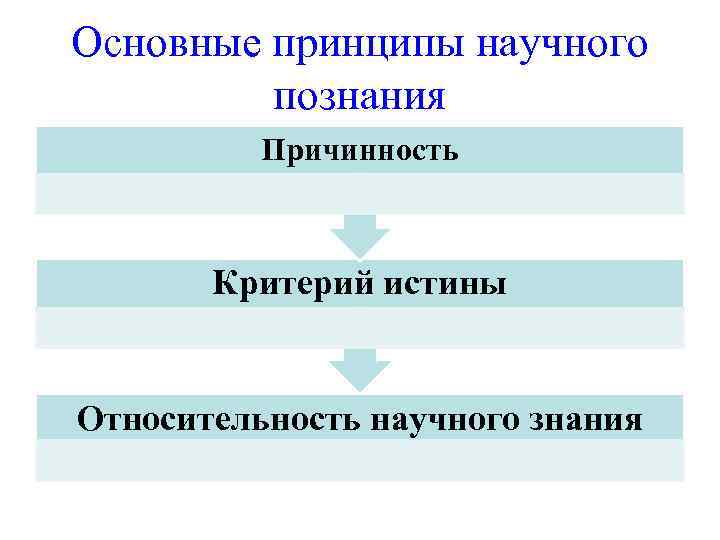 Принципы познания в философии. Принципы научного познания. Относительность научного знания. Основные научные принципы. Многоуровневая концепция методологического знания.