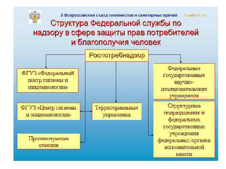 Лпу презентация гигиена