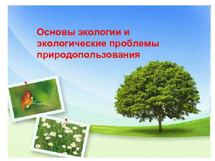 Основы экологии и экологические проблемы природопользования 