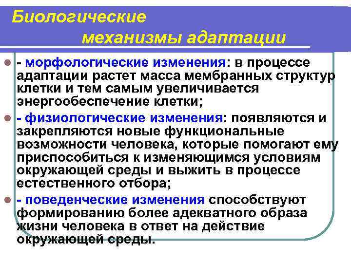 Биологические механизмы адаптации - морфологические изменения: в процессе адаптации растет масса мембранных структур клетки