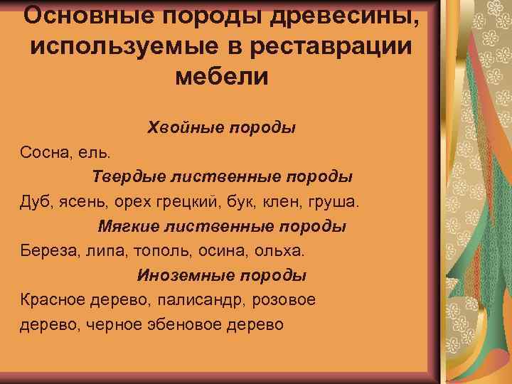 Основные породы древесины, используемые в реставрации мебели Хвойные породы Сосна, ель. Твердые лиственные породы