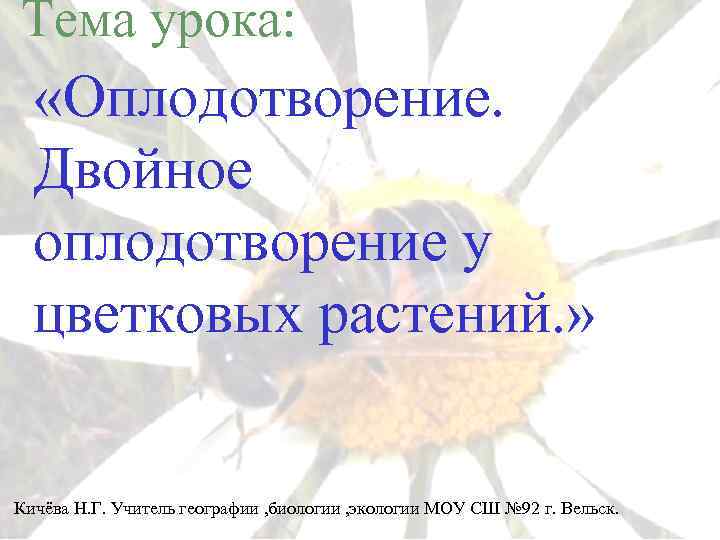 Тема урока: «Оплодотворение. Двойное оплодотворение у цветковых растений. » Кичёва Н. Г. Учитель географии