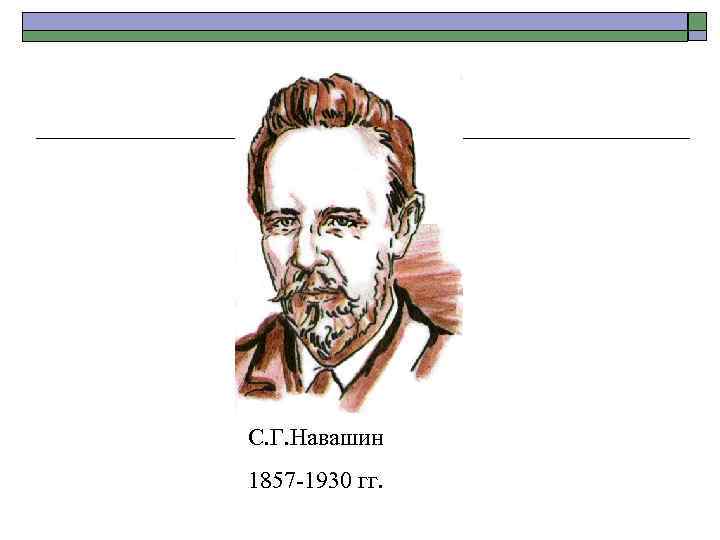 С. Г. Навашин 1857 -1930 гг. 
