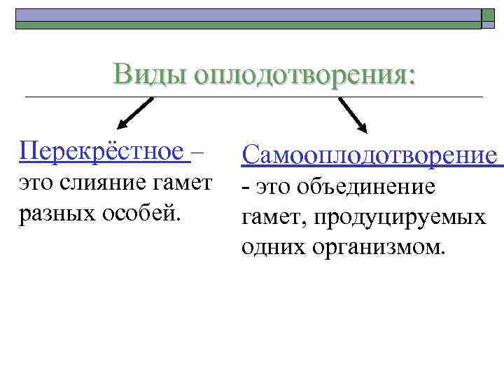 Виды оплодотворения: Перекрёстное – это слияние гамет разных особей. Самооплодотворение - это объединение гамет,