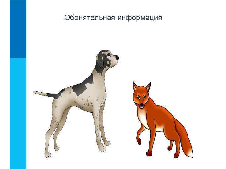 Обонятельная информация 