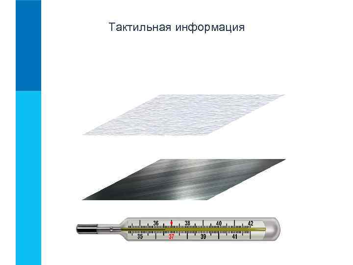 Тактильная информация 