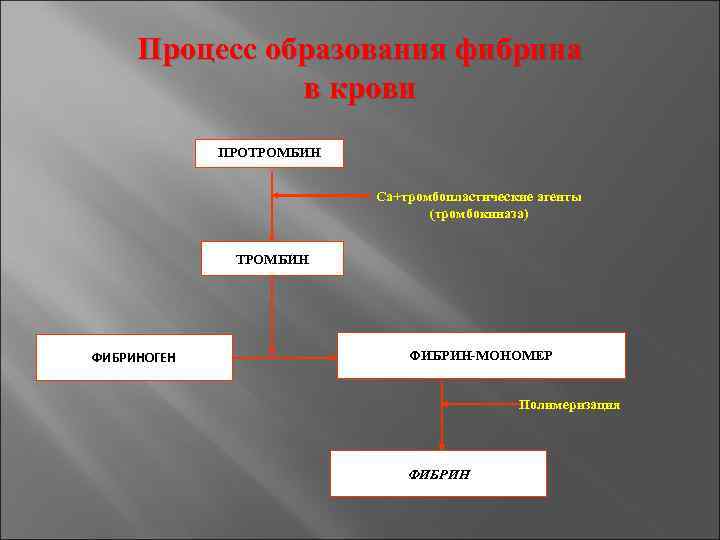 Процесс образования фибрина в крови ПРОТРОМБИН Са+тромбопластические агенты (тромбокиназа) ТРОМБИН ФИБРИНОГЕН ФИБРИН-МОНОМЕР Полимеризация ФИБРИН