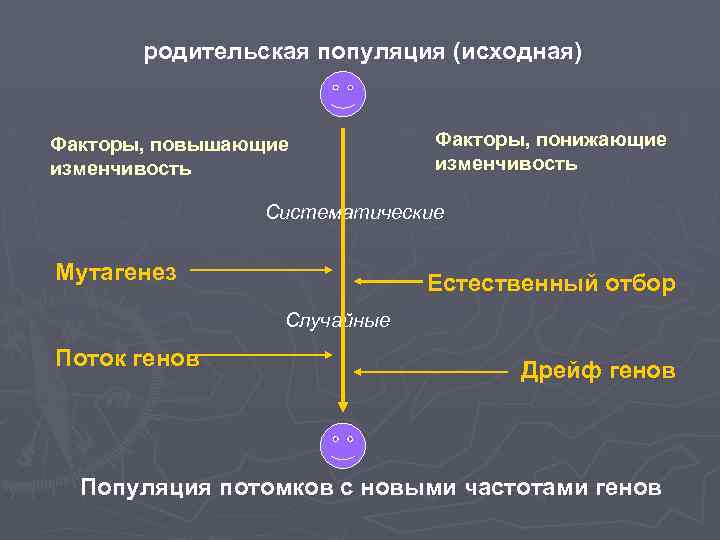 родительская популяция (исходная) Факторы, повышающие изменчивость Факторы, понижающие изменчивость Систематические Мутагенез Естественный отбор Случайные