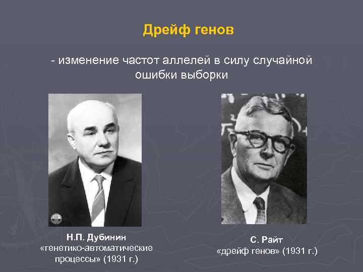 Дрейф генов - изменение частот аллелей в силу случайной ошибки выборки Н. П. Дубинин