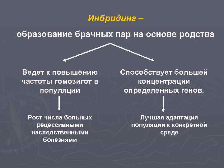 Инбридинг это. Инбридинг. Инбридинг генеалогический это. Инбридинг это кратко. Типы инбридинга.