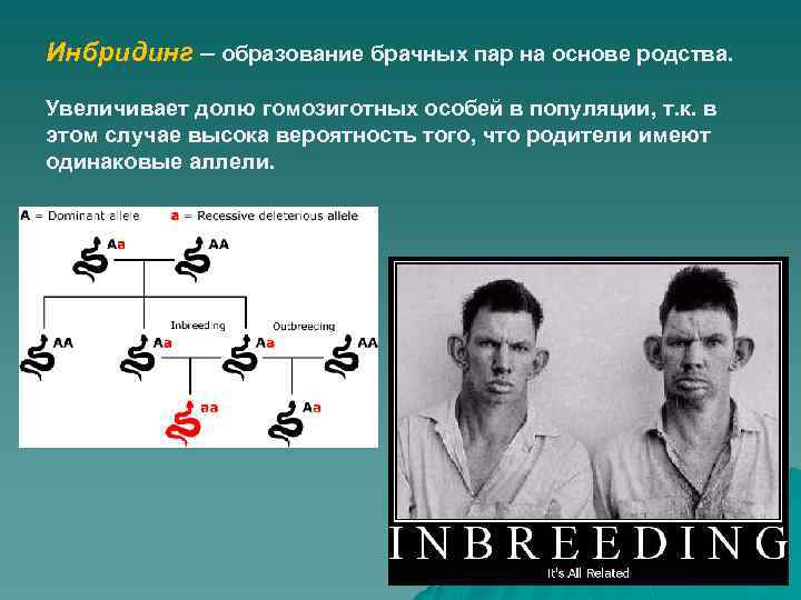 West Virginia Hillbillies Inbreeding