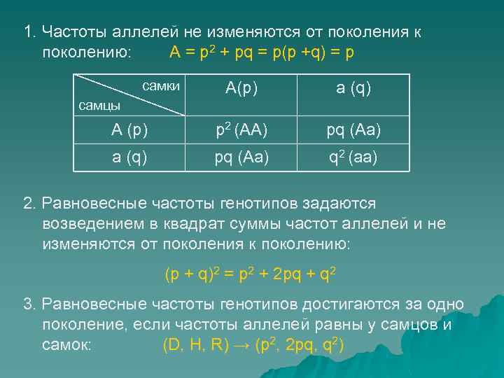 1. Частоты аллелей не изменяются от поколения к поколению: А = p 2 +