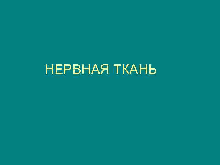 НЕРВНАЯ ТКАНЬ 