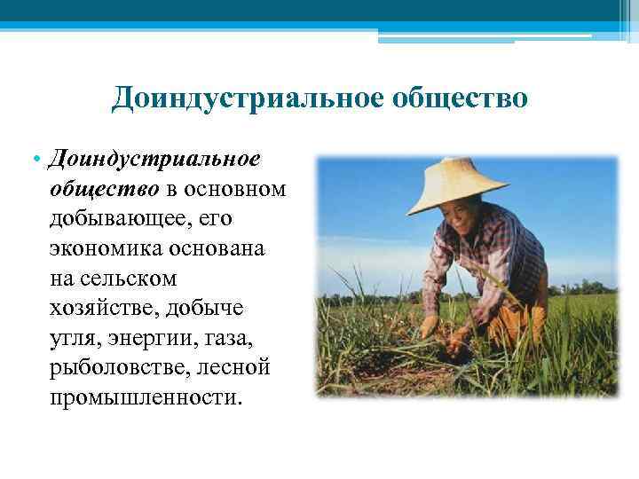 Доиндустриальное общество • Доиндустриальное общество в основном добывающее, его экономика основана на сельском хозяйстве,