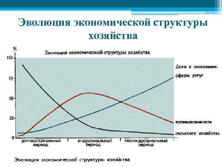 Эволюция экономической структуры хозяйства 