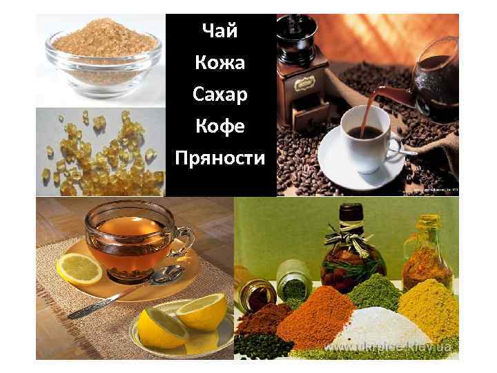 Чай Кожа Сахар Кофе Пряности 