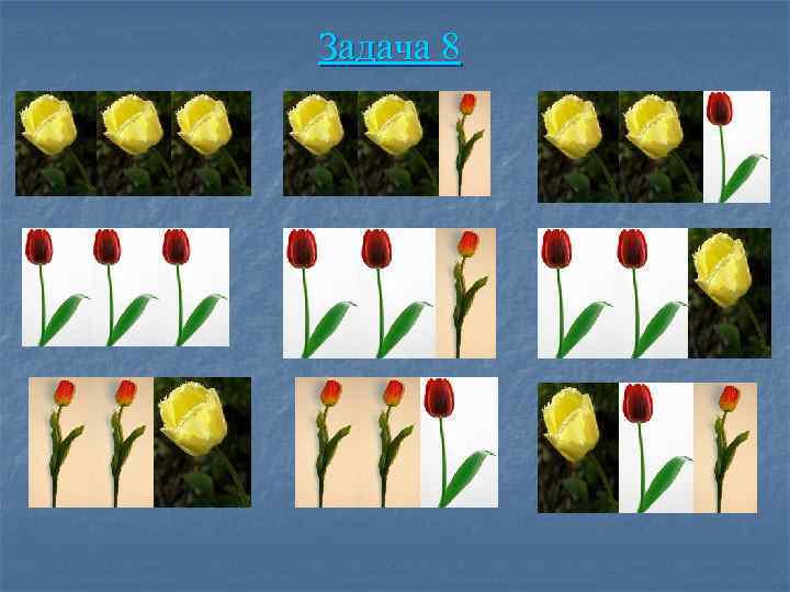 Задача 8 