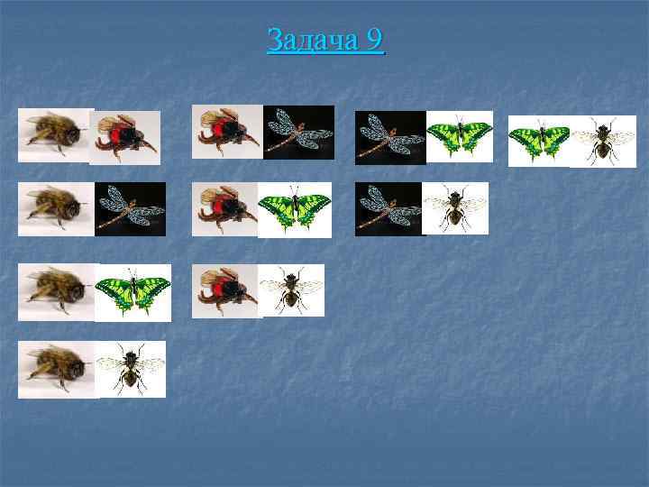 Задача 9 