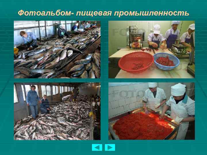 Фотоальбом- пищевая промышленность 